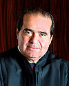 scalia